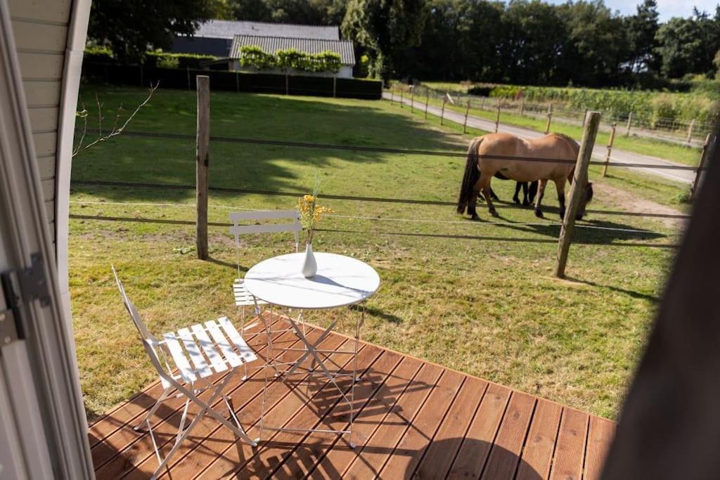 De Verpozing - Vakantiehuisjes Milsbeek Exterior foto